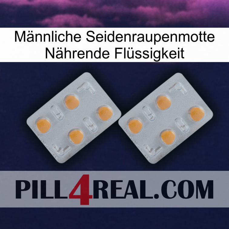 Männliche Seidenraupenmotte Nährende Flüssigkeit 25